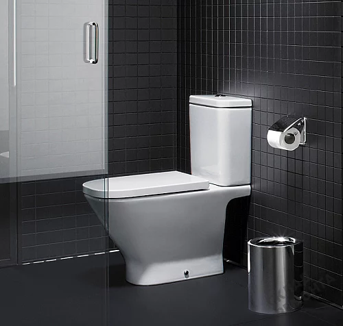 Фото Унитаз напольный Roca The Gap 342477000 купить в Санкт-Петербурге: цена, описание, фото. Интернет-магазин 2