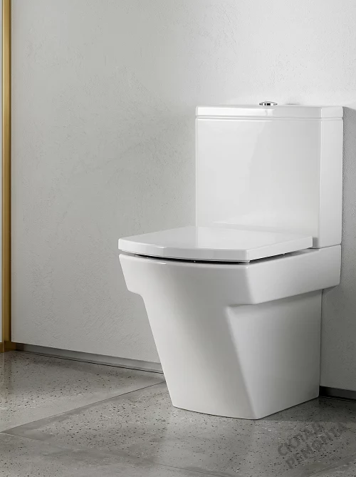 Фото Унитаз напольный Roca Hall 342629000 купить в Санкт-Петербурге: цена, описание, фото. Интернет-магазин 1